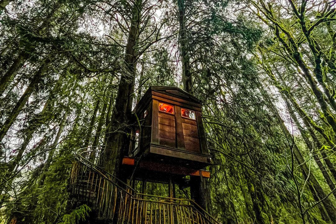 This Treehouse Hotel Sits in an Otherworldly Forest. Here’s How to Get Your Reservation