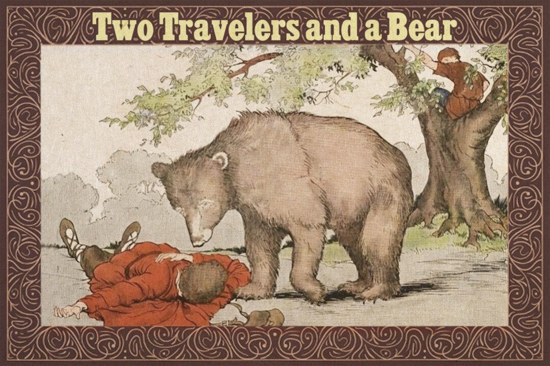 Man Hiding From Huge Bear Thinks It Whispered a Secret to His Fellow Traveler—Learns a Lesson