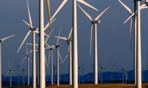 What If Renewable Energy Is a Racket?