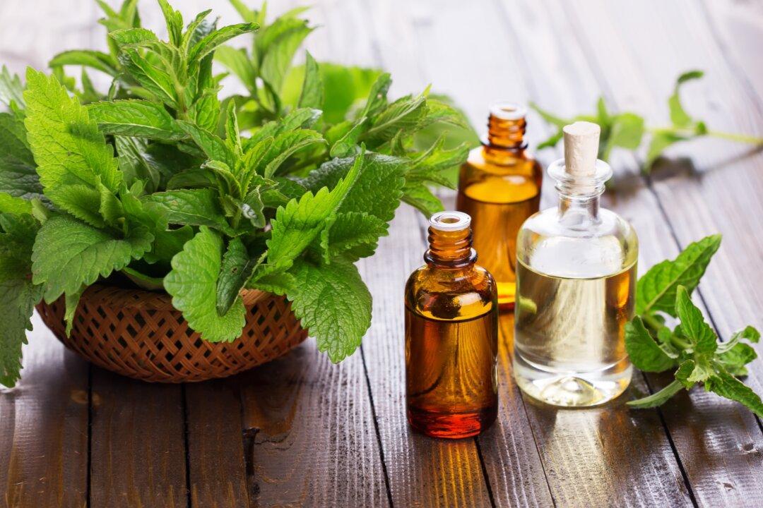 3 Peppermint Folk Remedies Aid Digestion, Kill Bacteria, and Fight Cancer