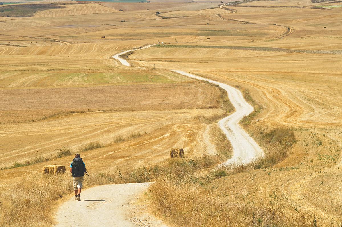 Landscapes vary along the Camino and include villages and cities, hills and mountains, and (above) long stretches of flat plains. (Dmi.Bo.S/Shutterstock)