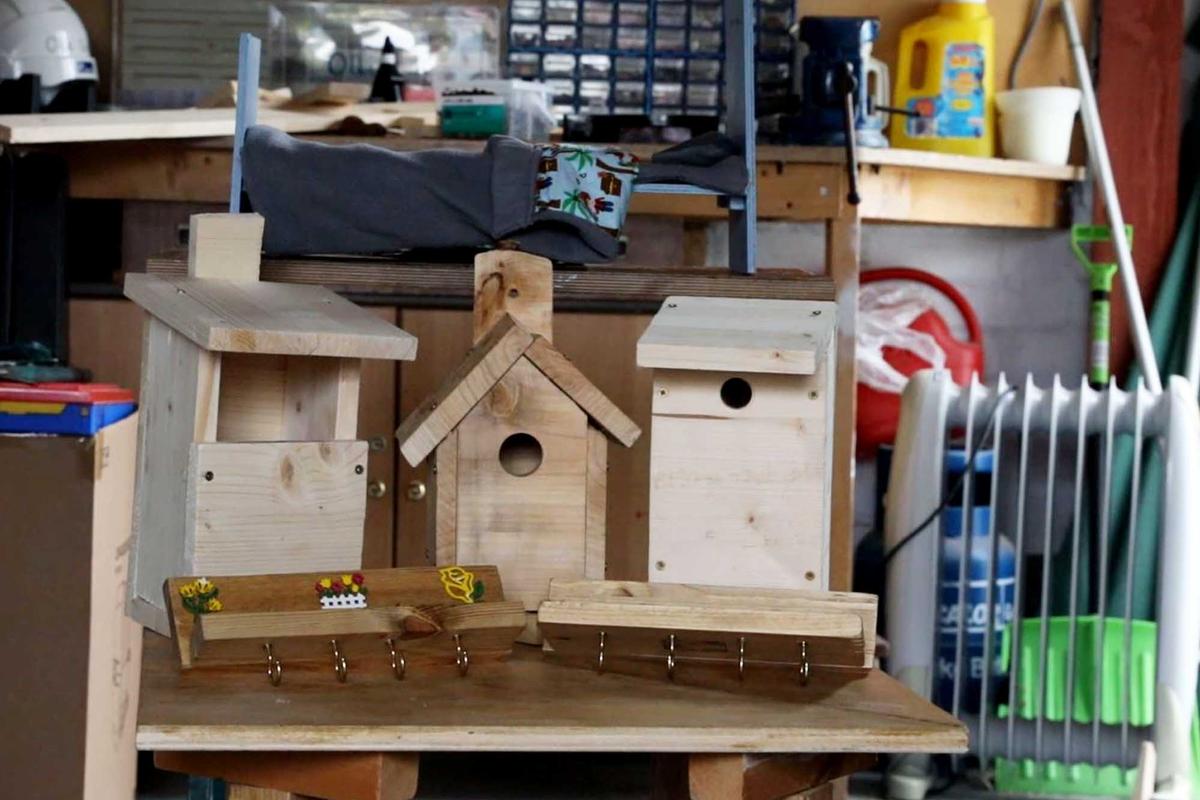Birdhouses built by Ollie Ridley. (SWNS)