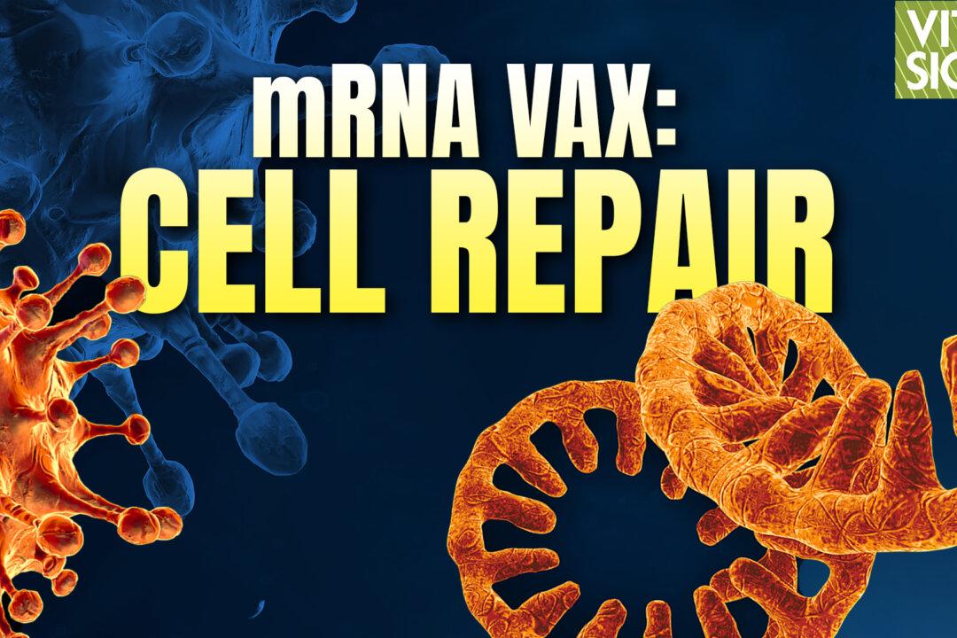 How mRNA Vaccine Cell Damage Can Be Reversed Through Lipid Replacement Therapy