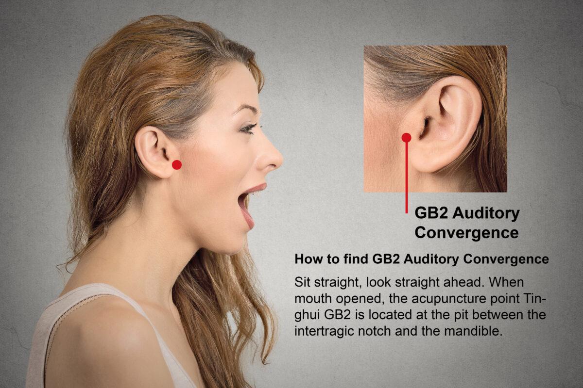 GB2 Auditory convergence (Shutterstock)