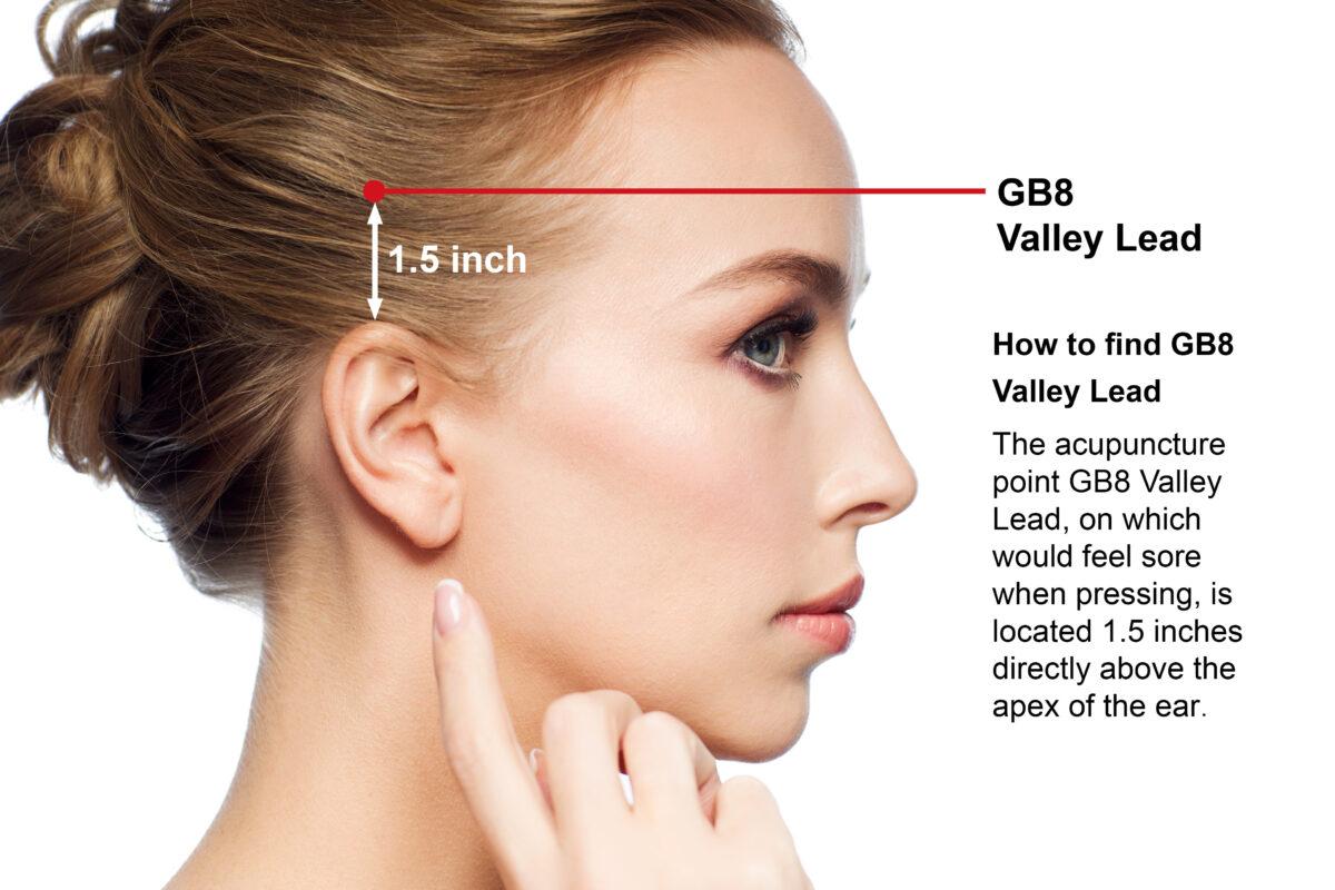 GB8 Valley Lead (Shutterstock)