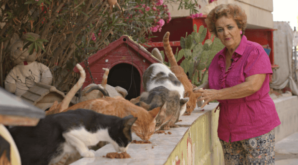 Roza Zammit Salinos cares for cats in "Cats of Malta." (Ivan Malekin, Sarah Jayne Portelli)