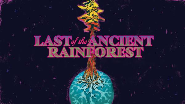 Last of the Ancient Rainforest