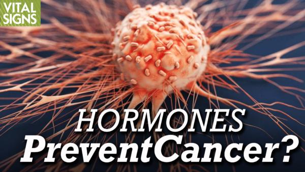Can Hormone Therapy Prevent Breast Cancer and Boost Women’s (and Men’s) Health?