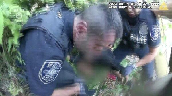 Bodycam Footage: Seattle Police Officers Swarmed by Wasps During Arrest