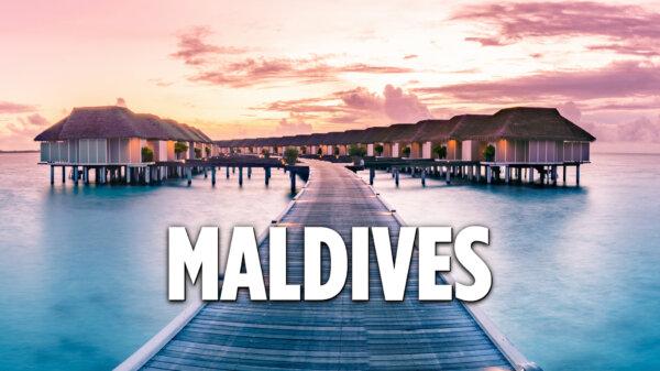 Bird's-Eye View of the Maldives | Simple Happiness