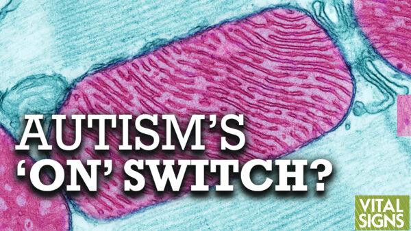 What Does Autism’s Biochemistry Reveal About Its Cause and Potential for Treatment? Feat. Dayan Goodenowe PhD