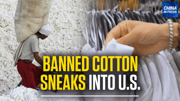 Banned Cotton Found in One-Fifth of US, Global Stores